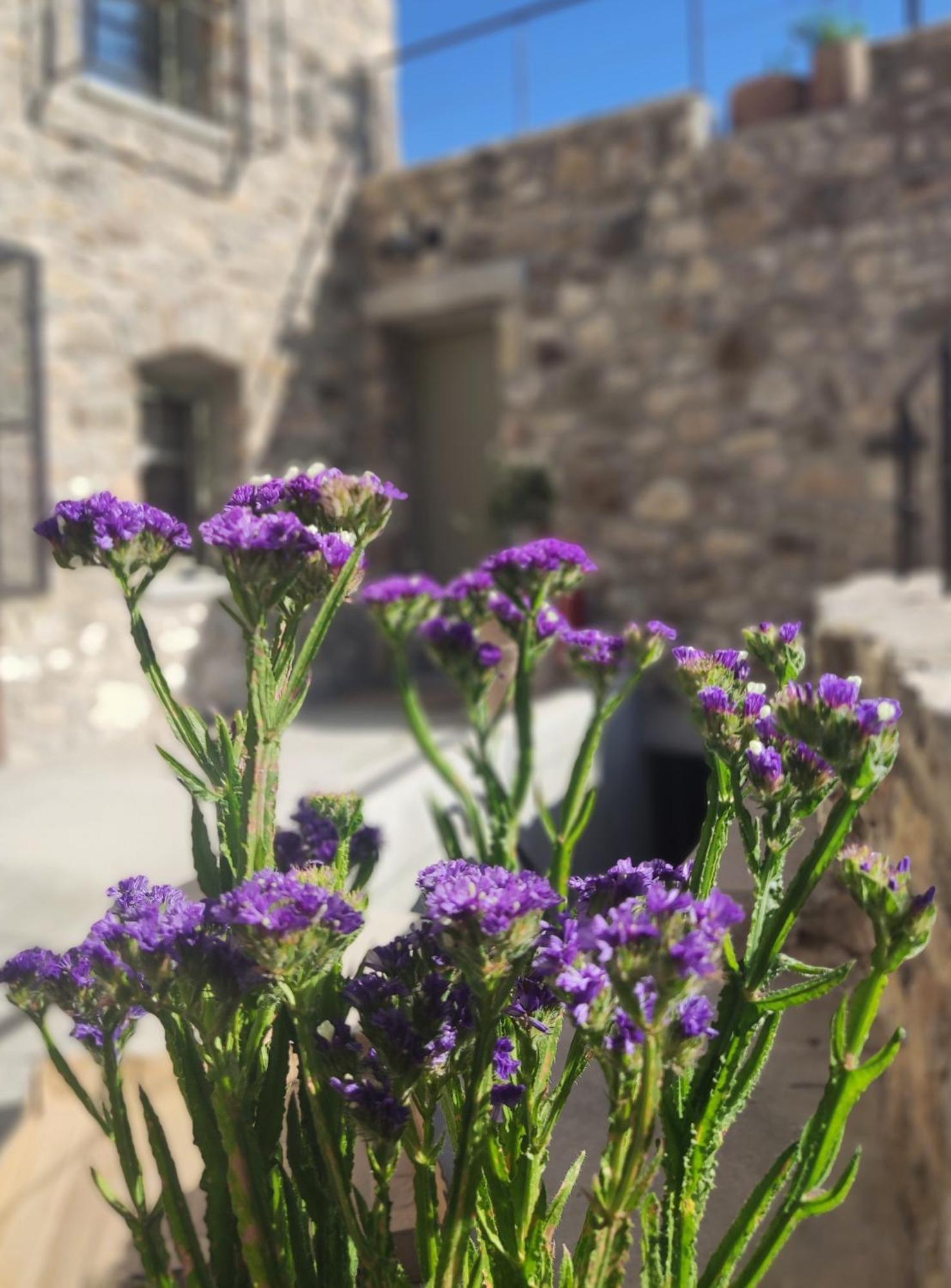 Pyrgi Cretan Living & Spa Pirgos  Εξωτερικό φωτογραφία
